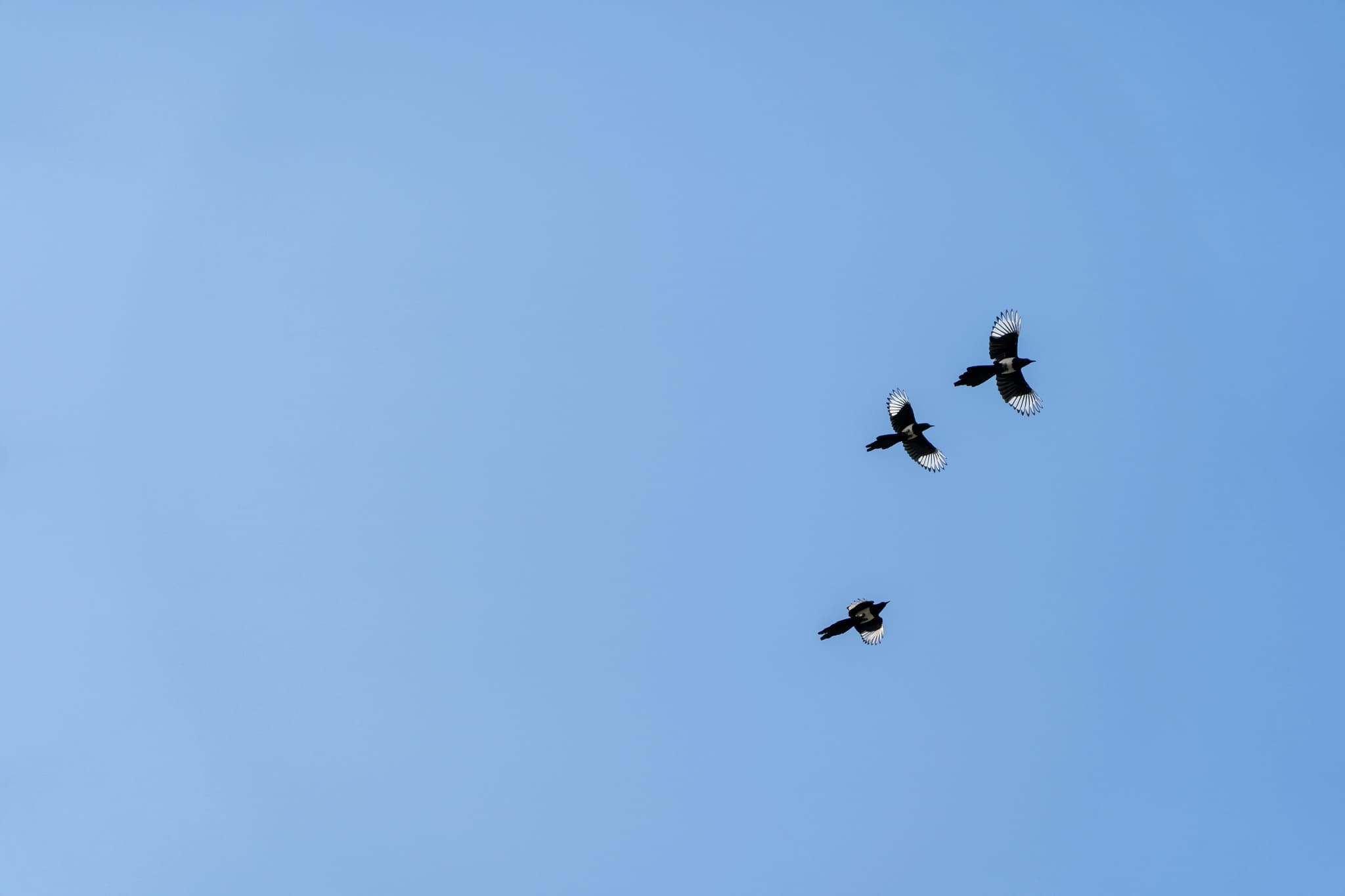 External Asset Managers